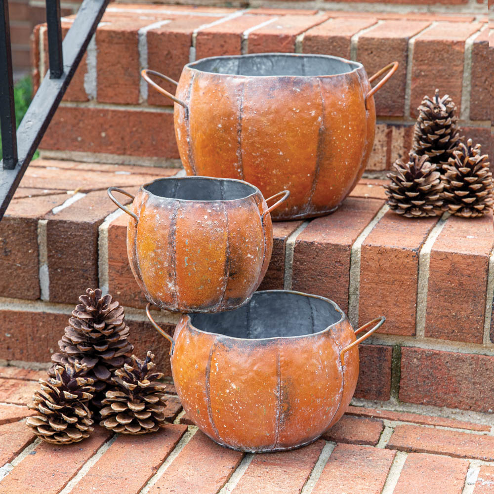 Pumpkin shops Canisters