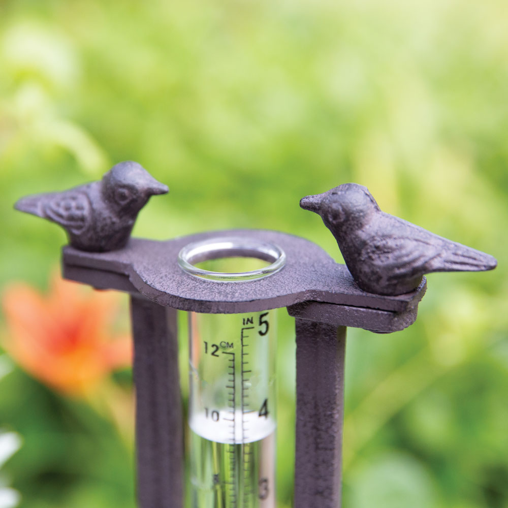 Two Birds Tabletop Rain Gauge