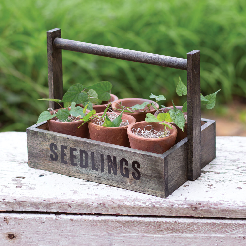 Charming garden seedling pots caddy with a wooden handle, six terra cotta pots, and "seedlings" logo for rustic gardening.